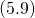 (5.9)
