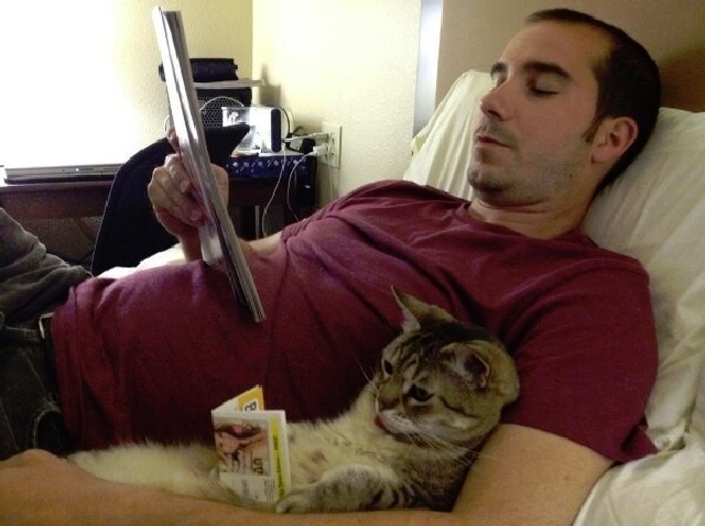 81301-cat-doing-some-light-reading-m-wkIH