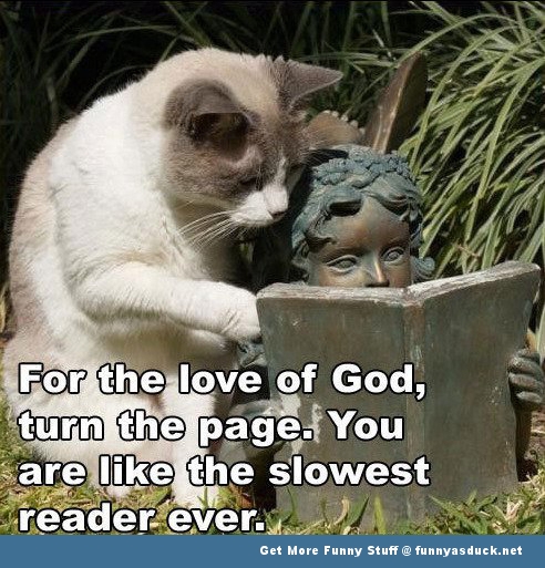 Funny-Cat-Reading-Meme