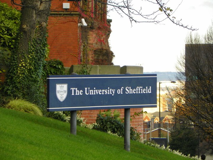 university of sheffield